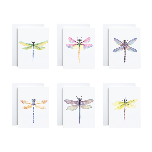 Set of 24 Any Occasion Dragonfly Cards